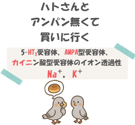 薬理の5-HT3受容体、AMPA型受容体、カイニン酸型受容体の語呂合わせのイラスト付き説明