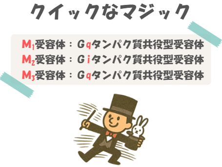 薬理のM1受容体、M2受容体、M3受容体の語呂合わせのイラスト付き説明図。