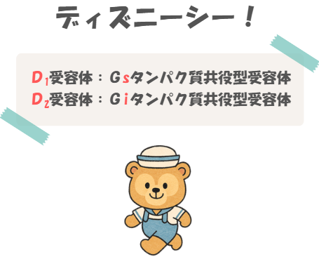 薬理のD1受容体、D2受容体の語呂合わせのイラスト付き説明図