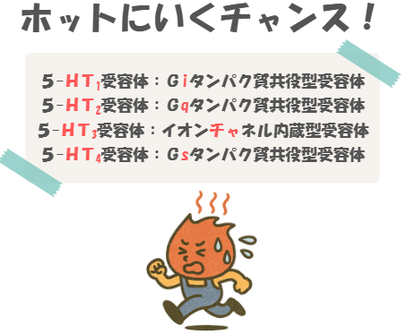 薬理の5-HT受容体の語呂合わせのイラスト付き説明。