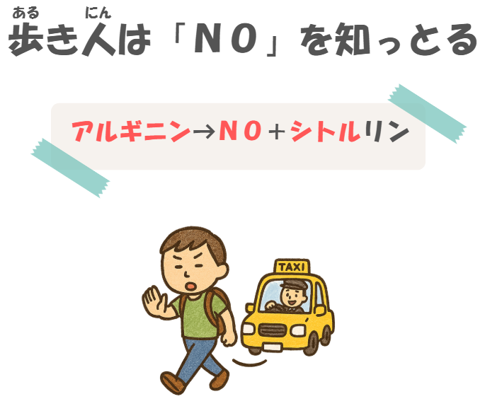 薬理の一酸化窒素(NO)の語呂合わせ(細胞内情報伝達系)のイラスト付き説明