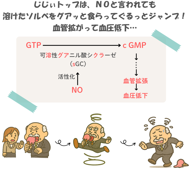 薬理のcGMPの語呂合わせのイラスト付き説明