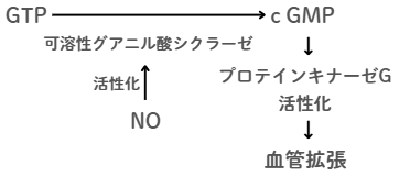 GTPからcGMPが生成される説明図
