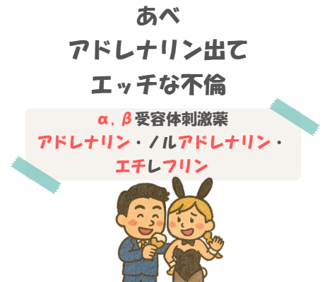 【薬理】アドレナリン・ノルアドレナリン・エチレフリンの語呂合わせのイラスト付き説明